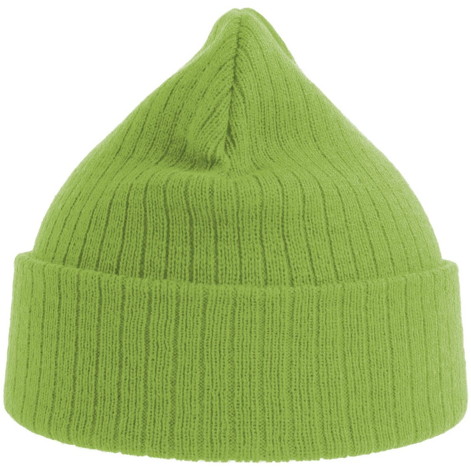 Unisex Adult Rio Ribbed Recycled Beanie (Acid Green) 2/3