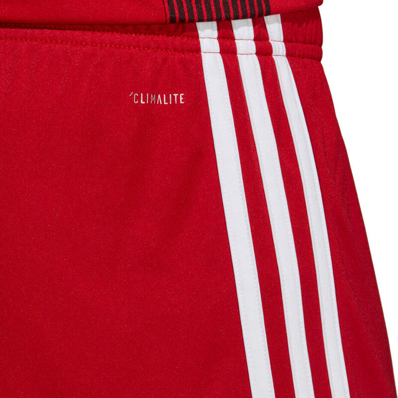 Spodenki piłkarskie męskie adidas Tastigo 19 Shorts