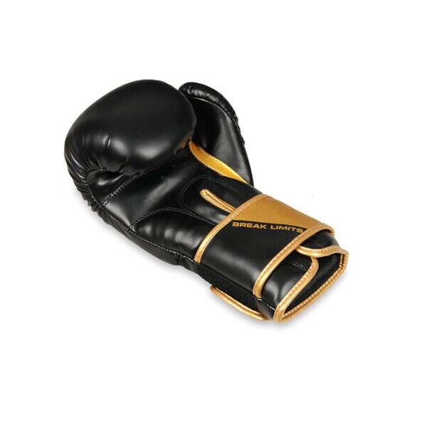 Boxerské rukavice DBX BUSHIDO B-2v10 10oz