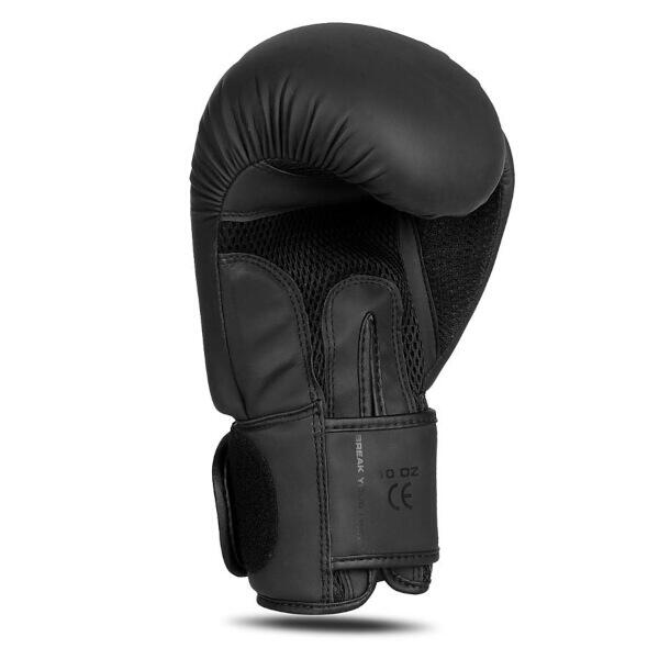 Boxerské rukavice DBX BUSHIDO B-2v21 10oz.