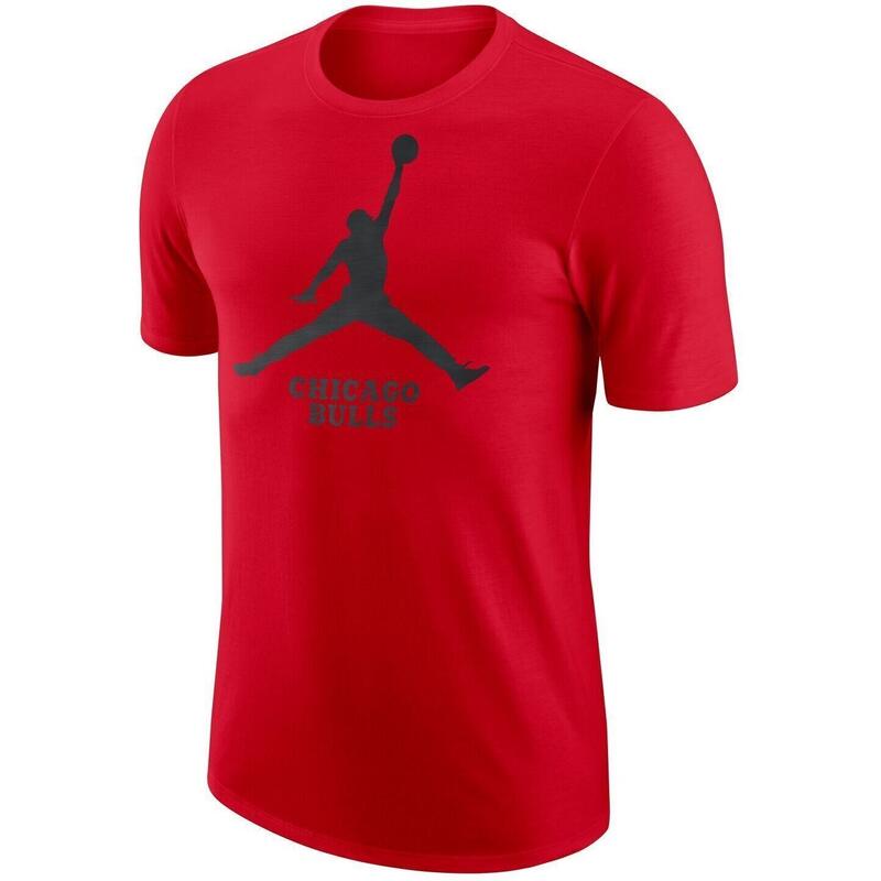 Tricou barbati Nike NBA CHICAGO BULLS Jordan, Rosu
