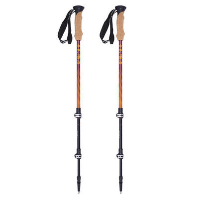 Wandelstok voor trekking alpinus monte rosa
