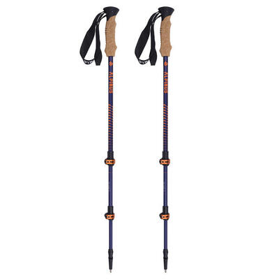 Wandelstok voor trekking alpinus monte rosa