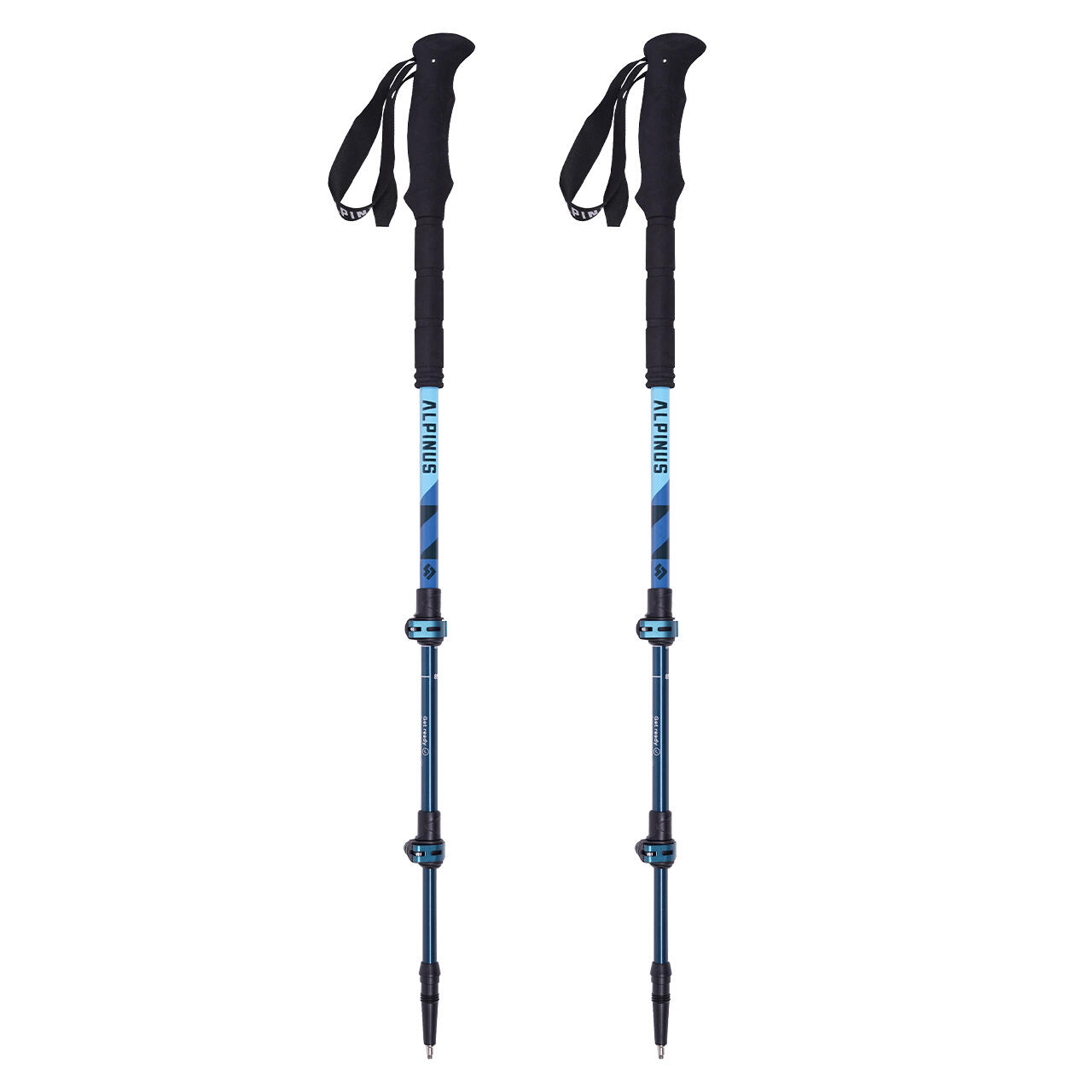 ALPINUS Wandelstok voor trekking Alpinus Matterhorn
