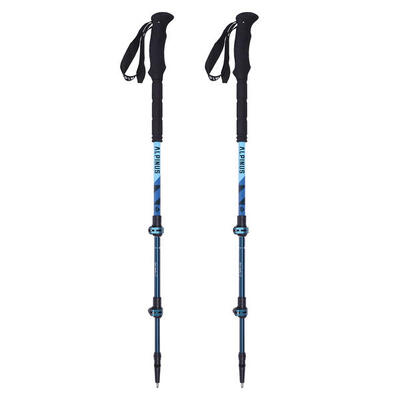 Wandelstok voor trekking alpinus matterhorn