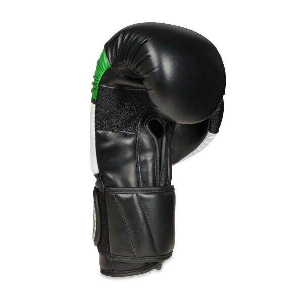 Boxerské rukavice DBX BUSHIDO B-2v6 10 z.