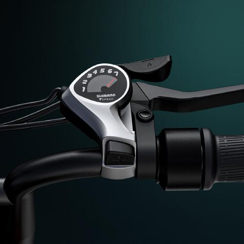Bicicleta eléctrica para adultos ENGWE M20, bicicleta de montaña, neumáticos anc 7/7