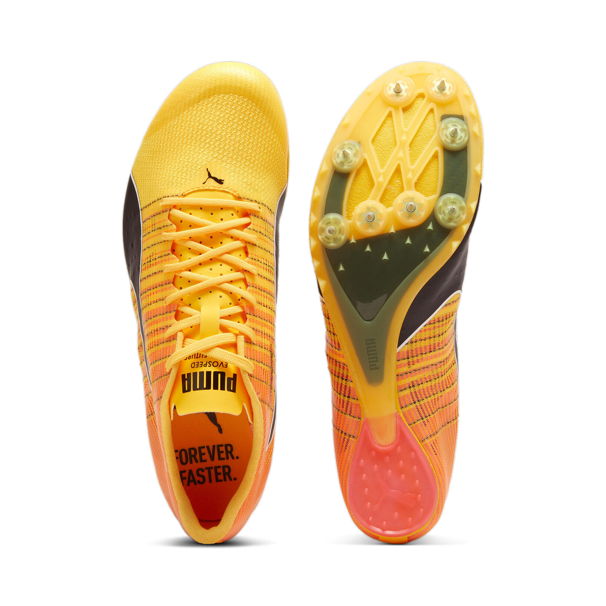 Scarpe atletismo Puma Teamwear evoSPEED Future 6 6/6