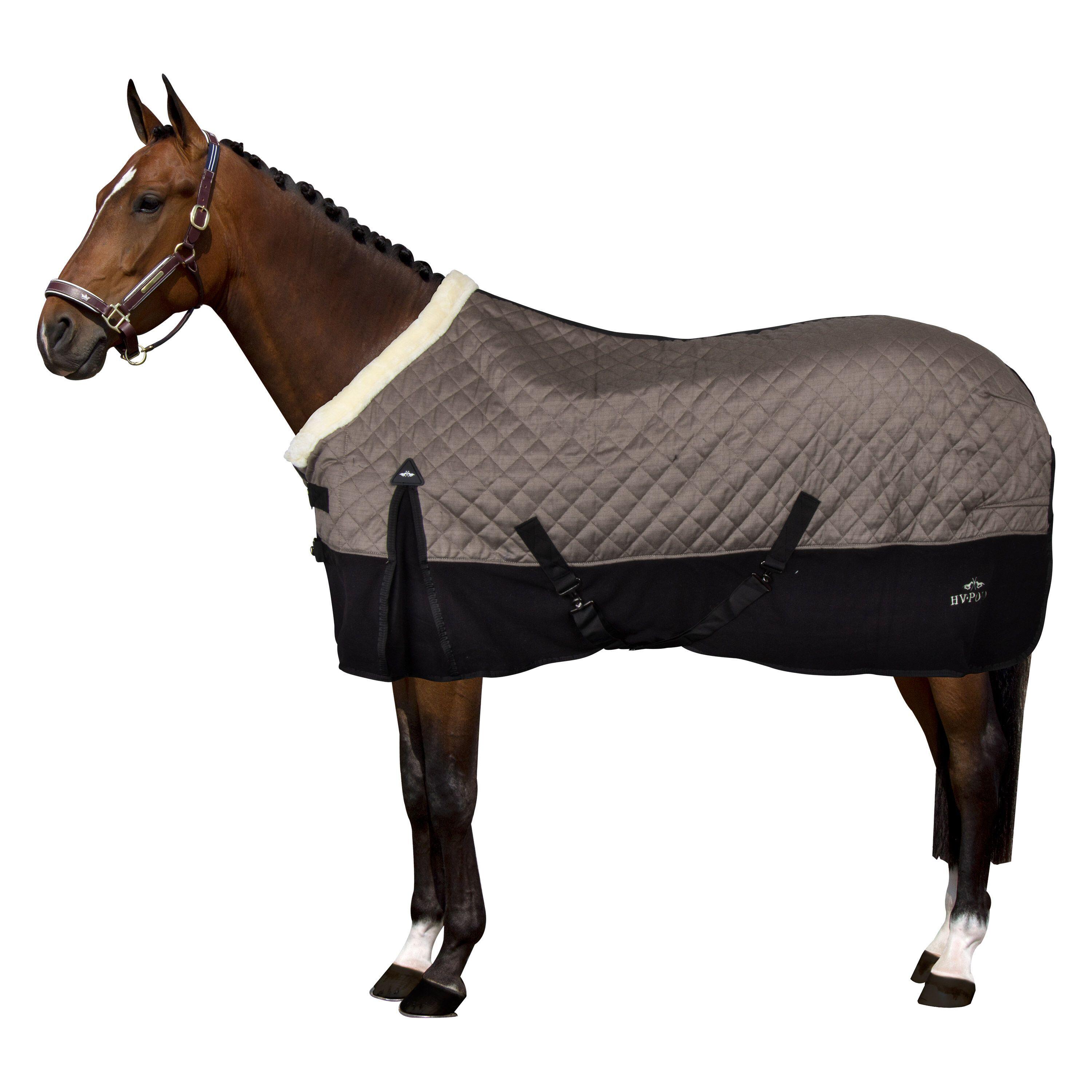Manta equitación de cuadra HV Polo Francis 2/2