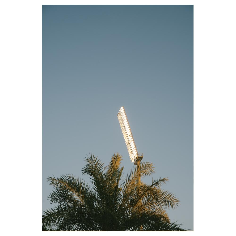 T-shirt - Heren - Glory x COPA Floodlights & Palm Trees - Korte mouw - Wit 3/5