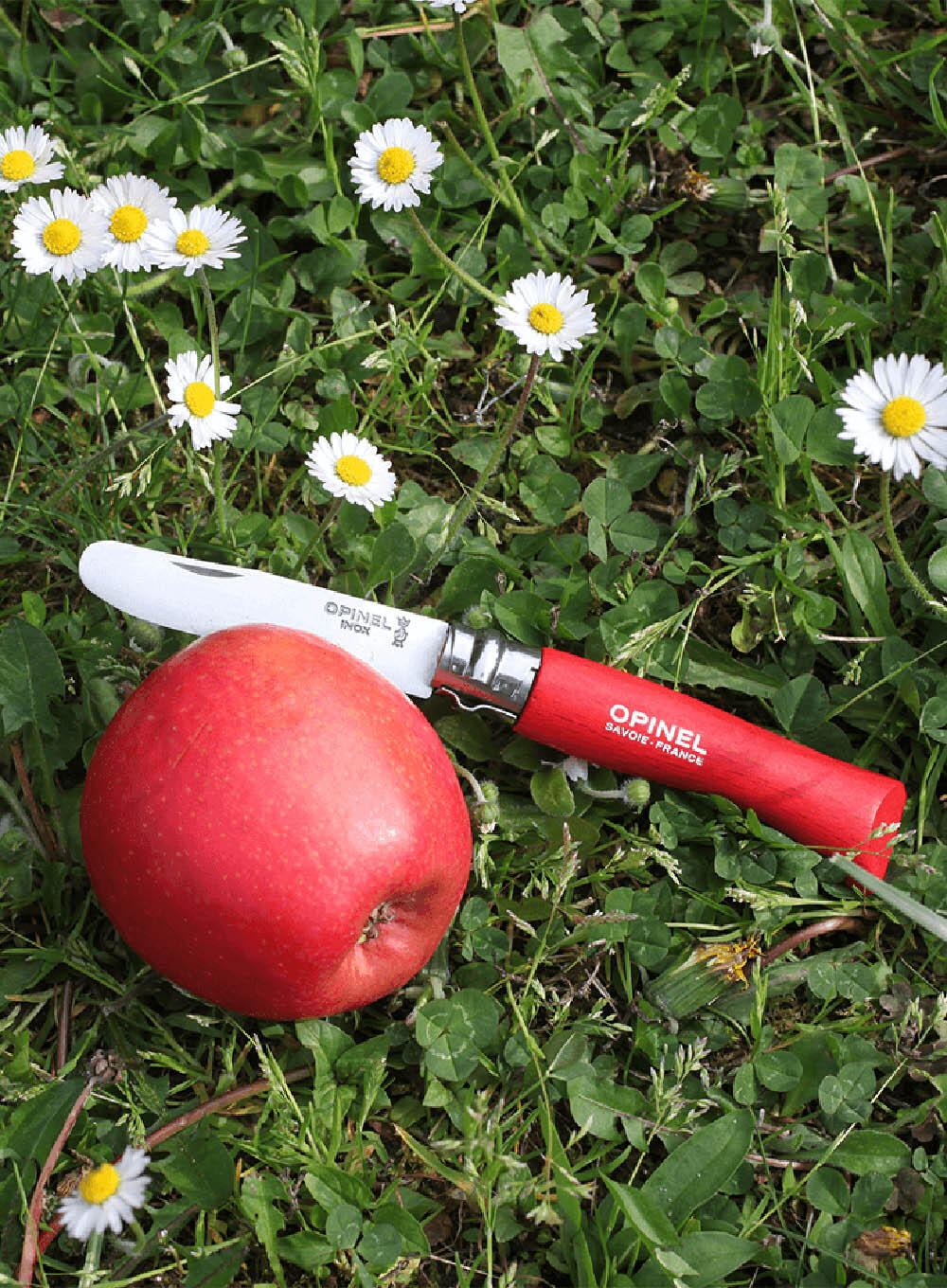 Nóż składany My First Opinel 4/6