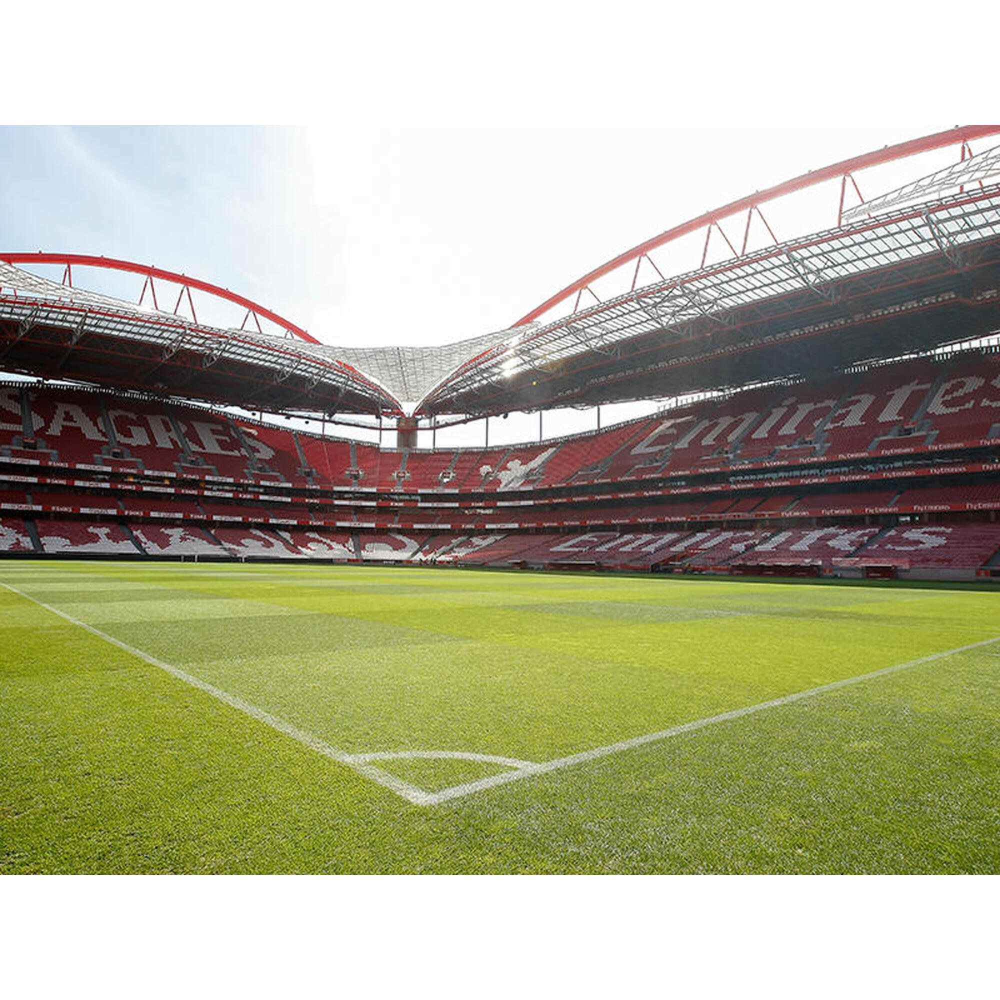 Pack Odisseias - SL Benfica | Visita Estádio e Museu + vale desconto jantar