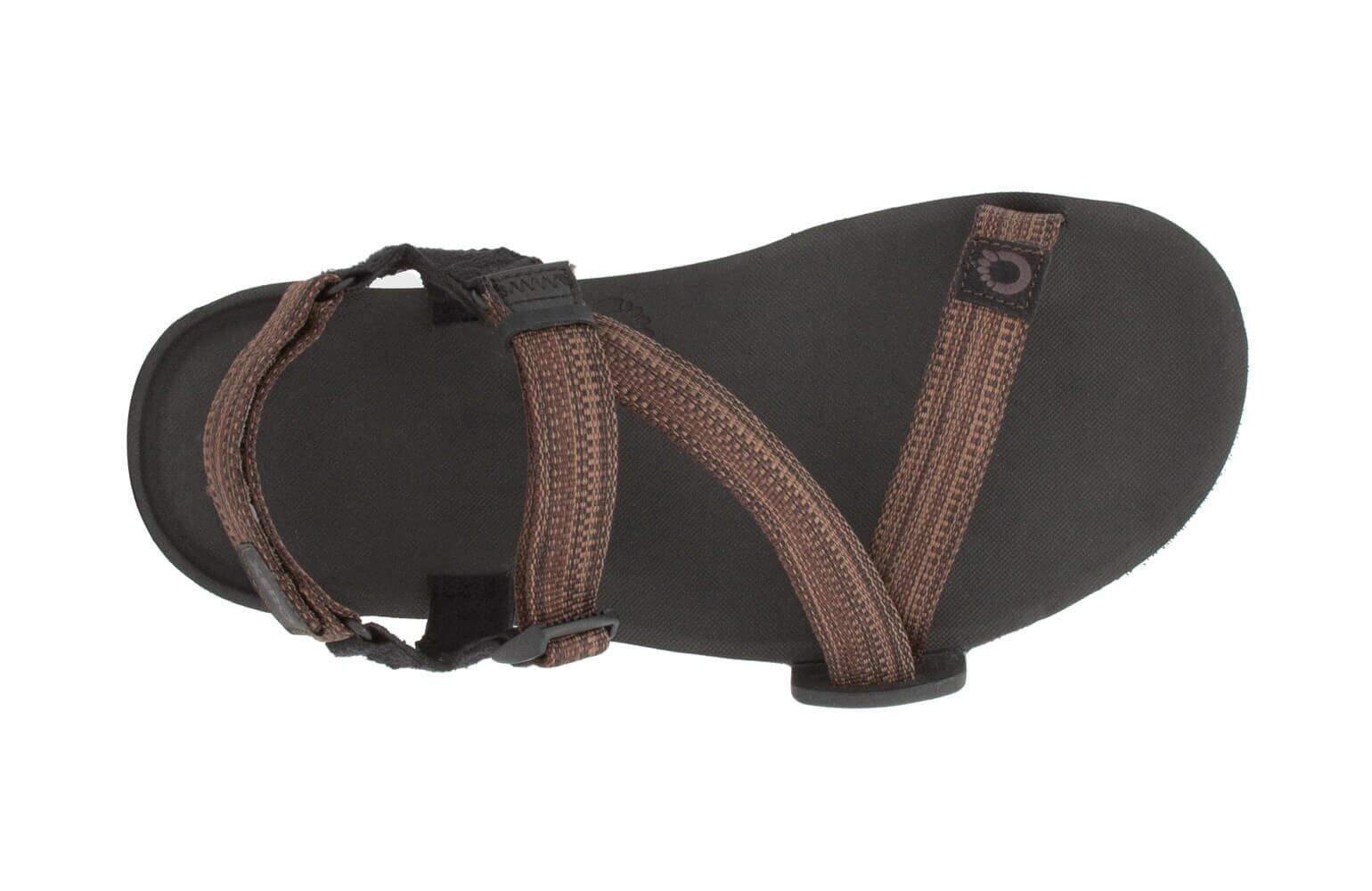 Xero Shoes Z-Trail EV Barefoot Sandales - Multi-Brun 6/7