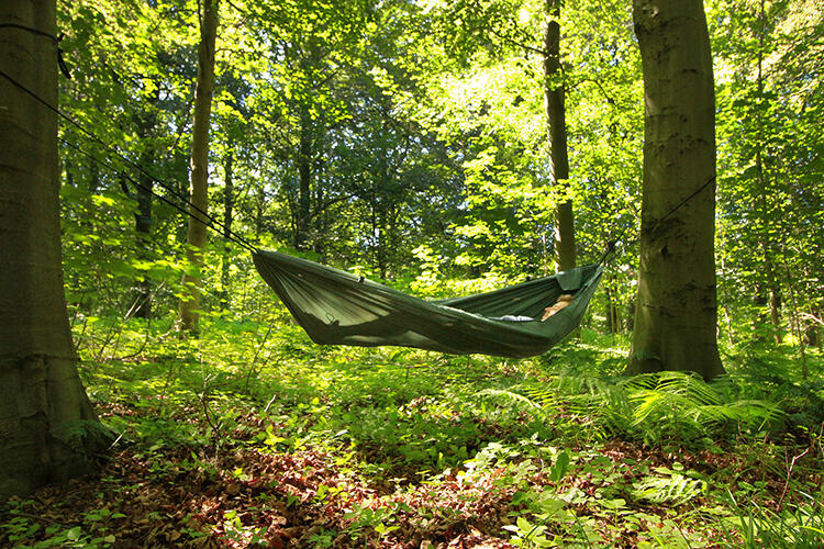 DD Hammocks DD Recycled - Camping Hangmat - Olijfgroen 4/6