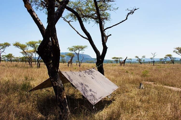 DD Hammocks Tarp 3x3 - Vert forêt 3/5