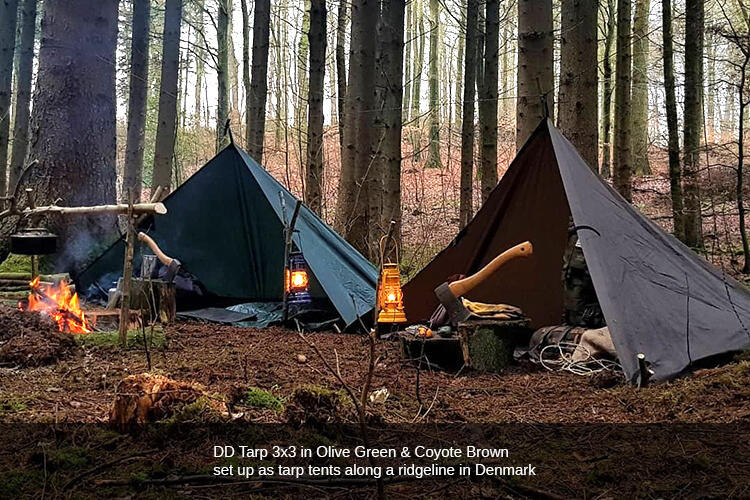 DD Hammocks Tarp 3x3 - Vert forêt 5/5