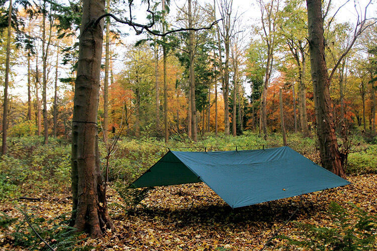 DD Hammocks Tarp 4x4 - Vert forêt 6/6