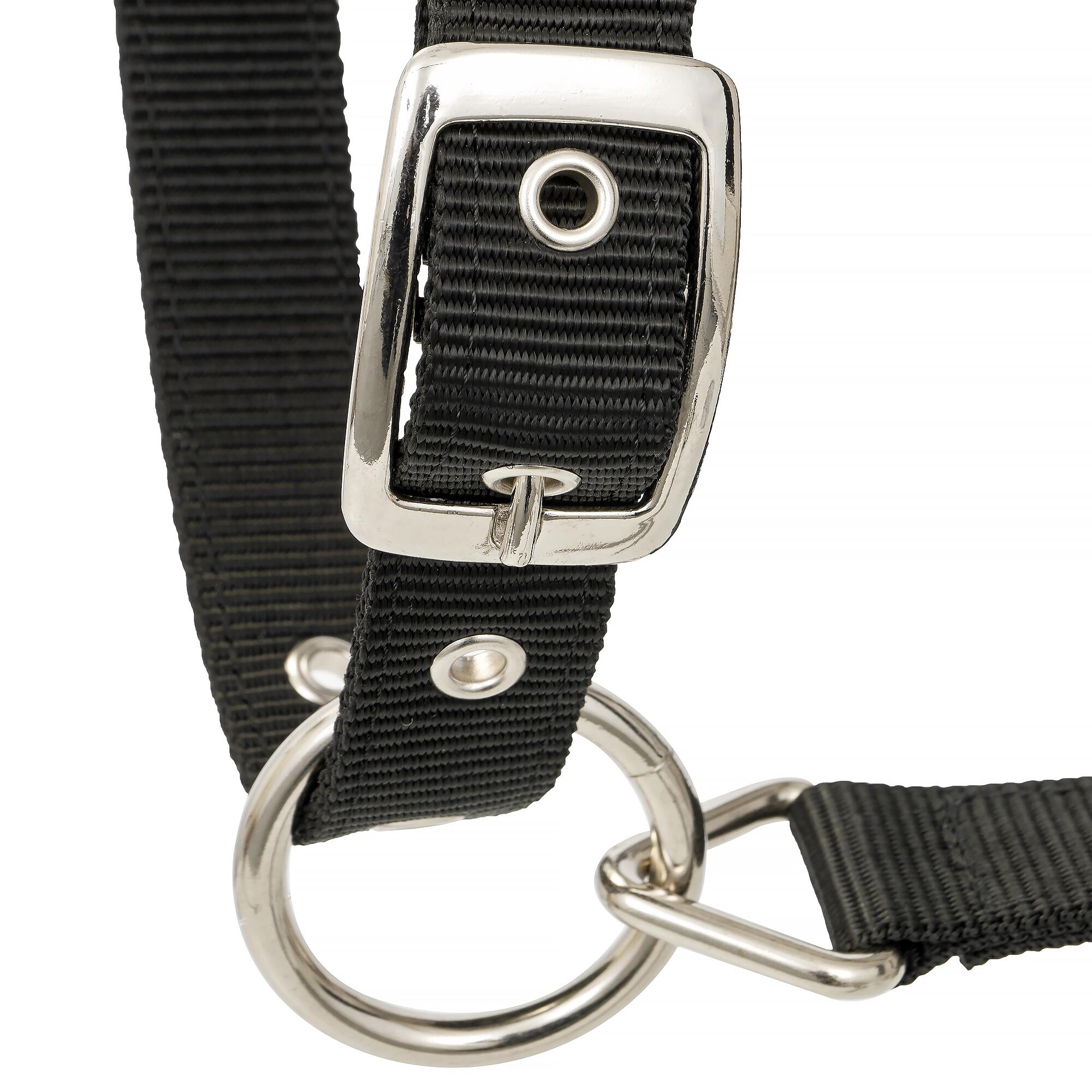 Paardenhalster Equestrian Queen Athens 24SS, gevoerd 2/3