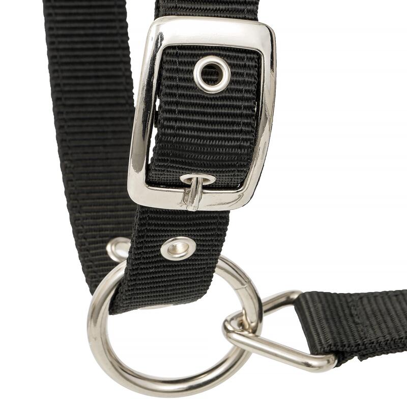 Halter EQUESTRIAN QUEEN Athens 24SS