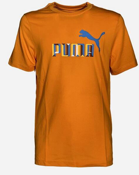 PUMA picture