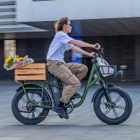 Bicicleta Elétrica Fiido T1 Pro - 750W - Verde