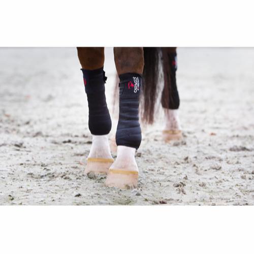 Venda elástica para caballos Catago FIR-tech 2/2