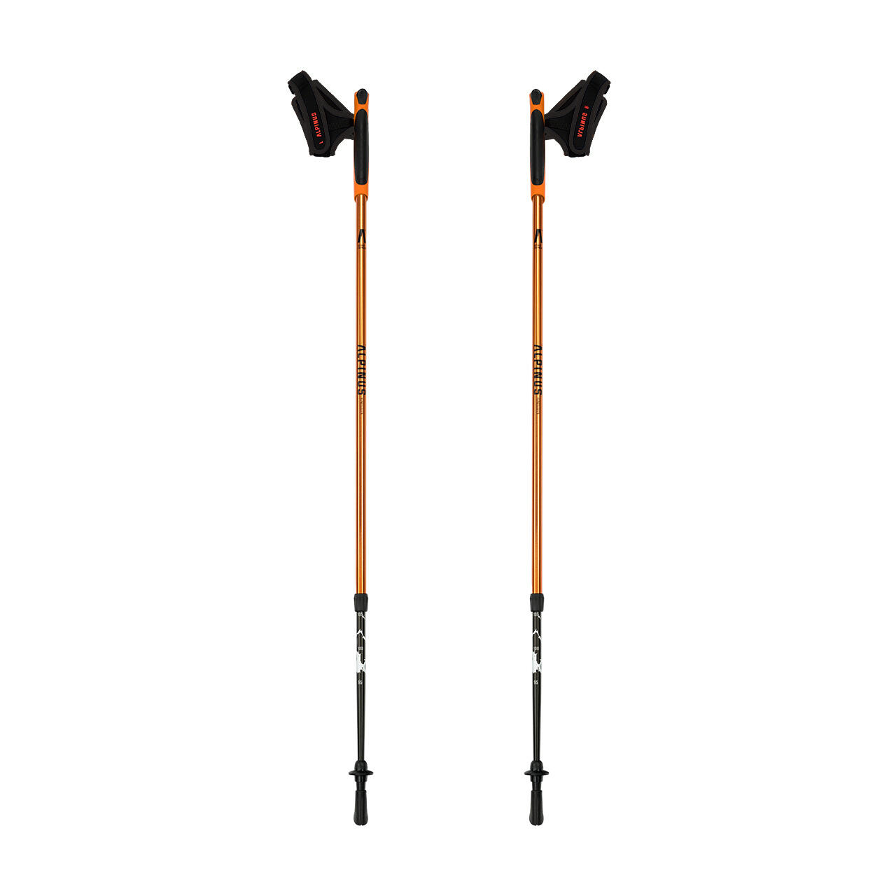 ALPINUS Nordic Walking-stokken Alpinus Kungsleden