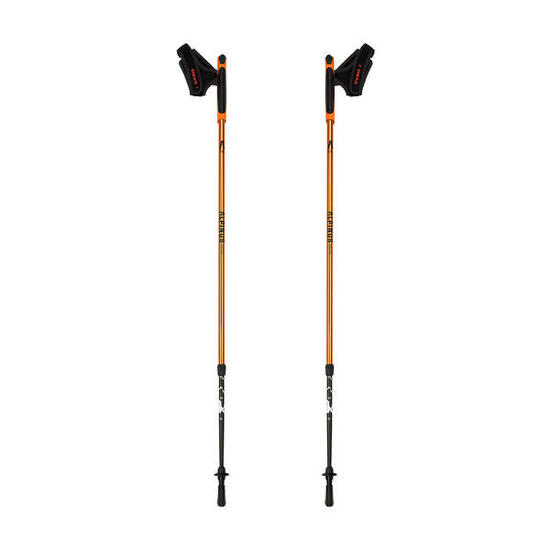 Bâtons de marche nordique Alpinus Kungsleden