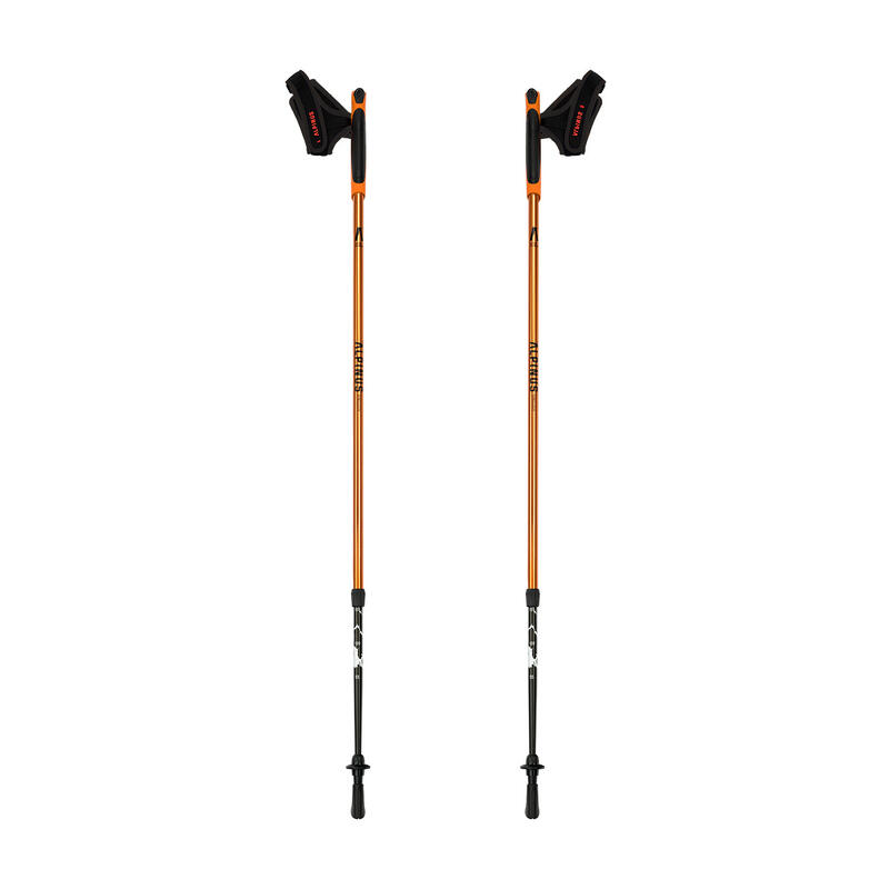 Kijki nordic walking Alpinus Kungsleden