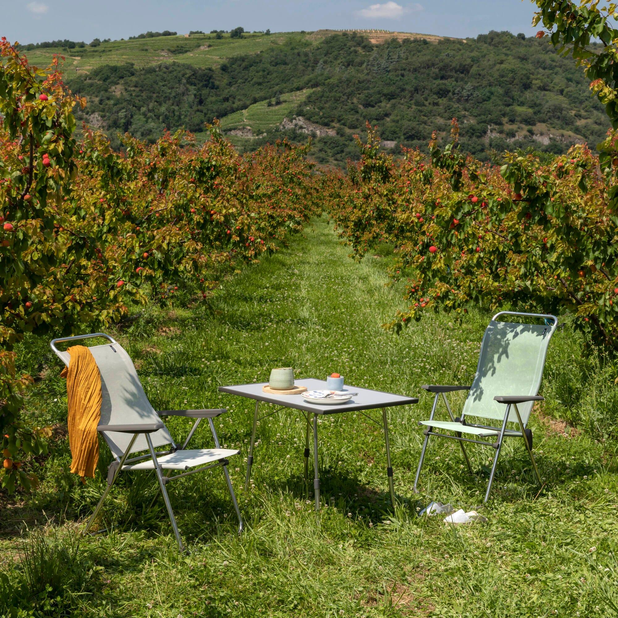 Lot de 2 Fauteuils pliants multi-positions - ALU CHAM - Beige - Lafuma Mobilier 4/4