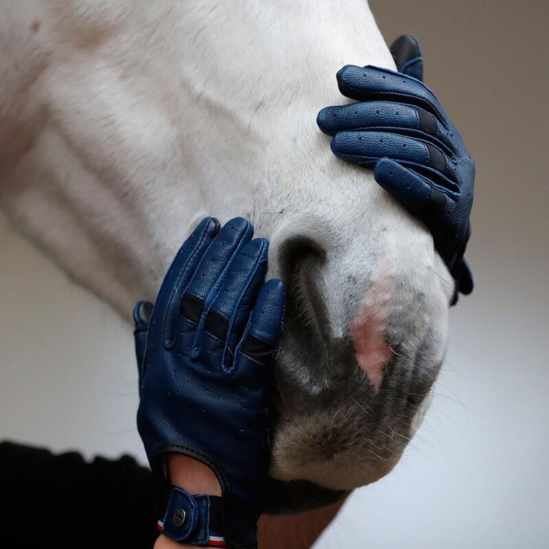 Gants d'équitation mixte en cuir - TRADITION ÉDITION LIMITÉE