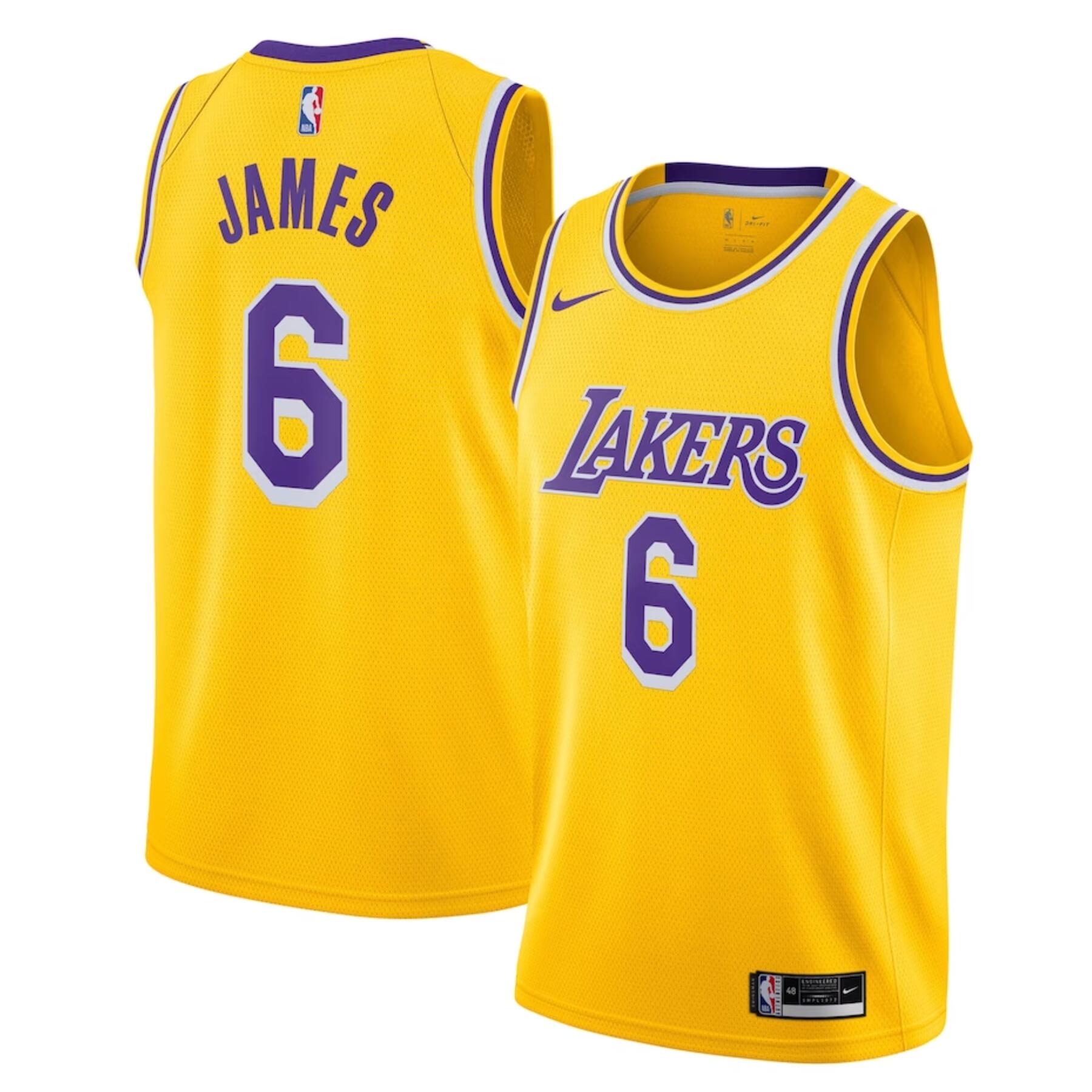 NIKE Los Angeles Lakers Lebron James Jersey Nike Icon James 6