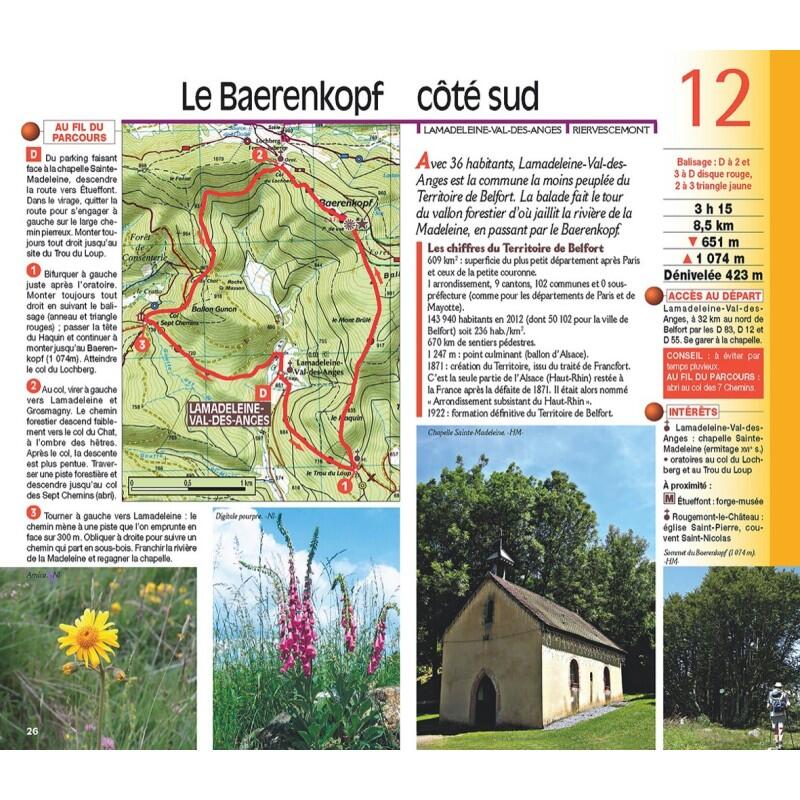 BALLON DES VOSGES PLATEAU DES MILLE ETANGS 3/4