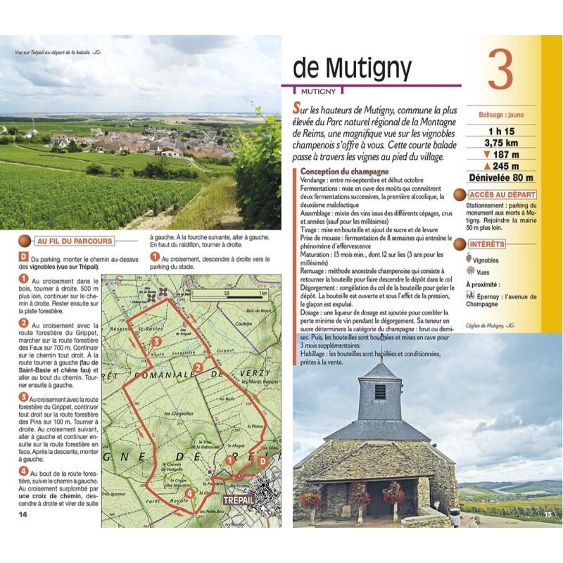 MONTAGNE DE REIMS ET MARNE 3/4