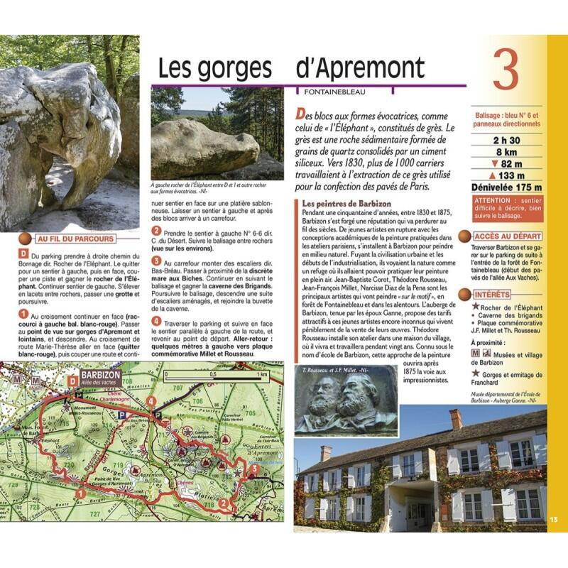 FORET DE FONTAINEBLEAU GATINAIS FRANCAIS 3/4
