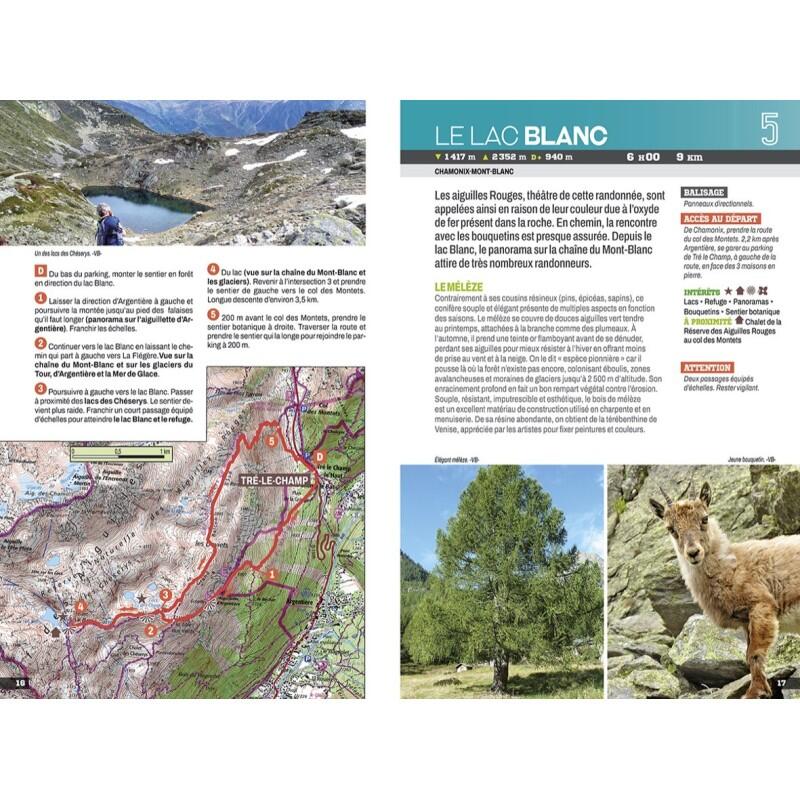 AUTOUR DE CHAMONIX 4/4
