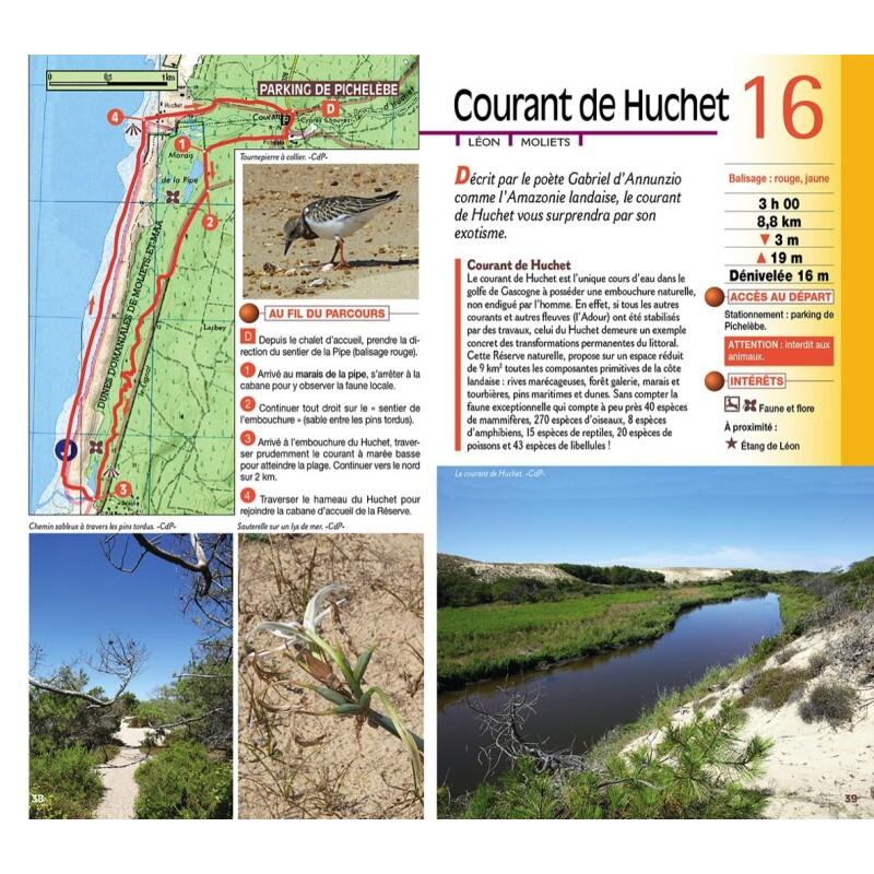 SUD LANDES 3/4