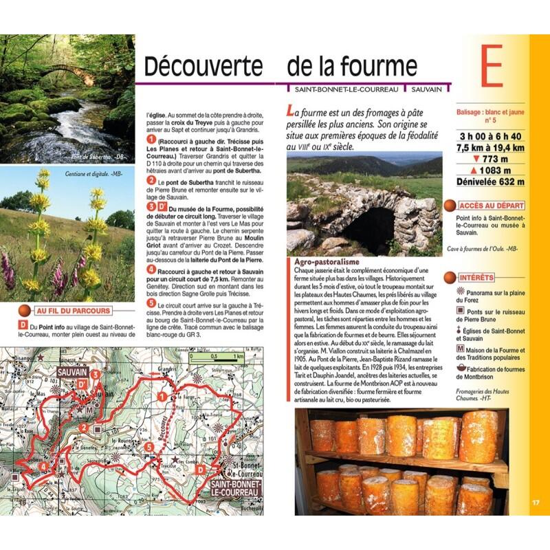 PIERRE SUR HAUTE MONTS DU FOREZ 4/4
