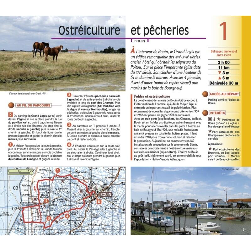 VENDEE LITTORALE 3/4