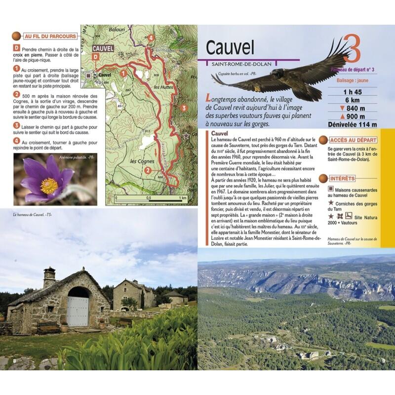 DE L'AUBRAC AUX GORGES DU TARN 3/4