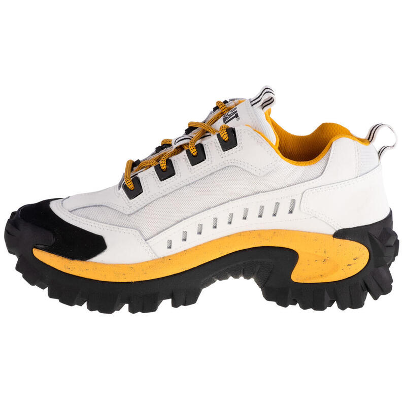 Sneakers Basses Intruder