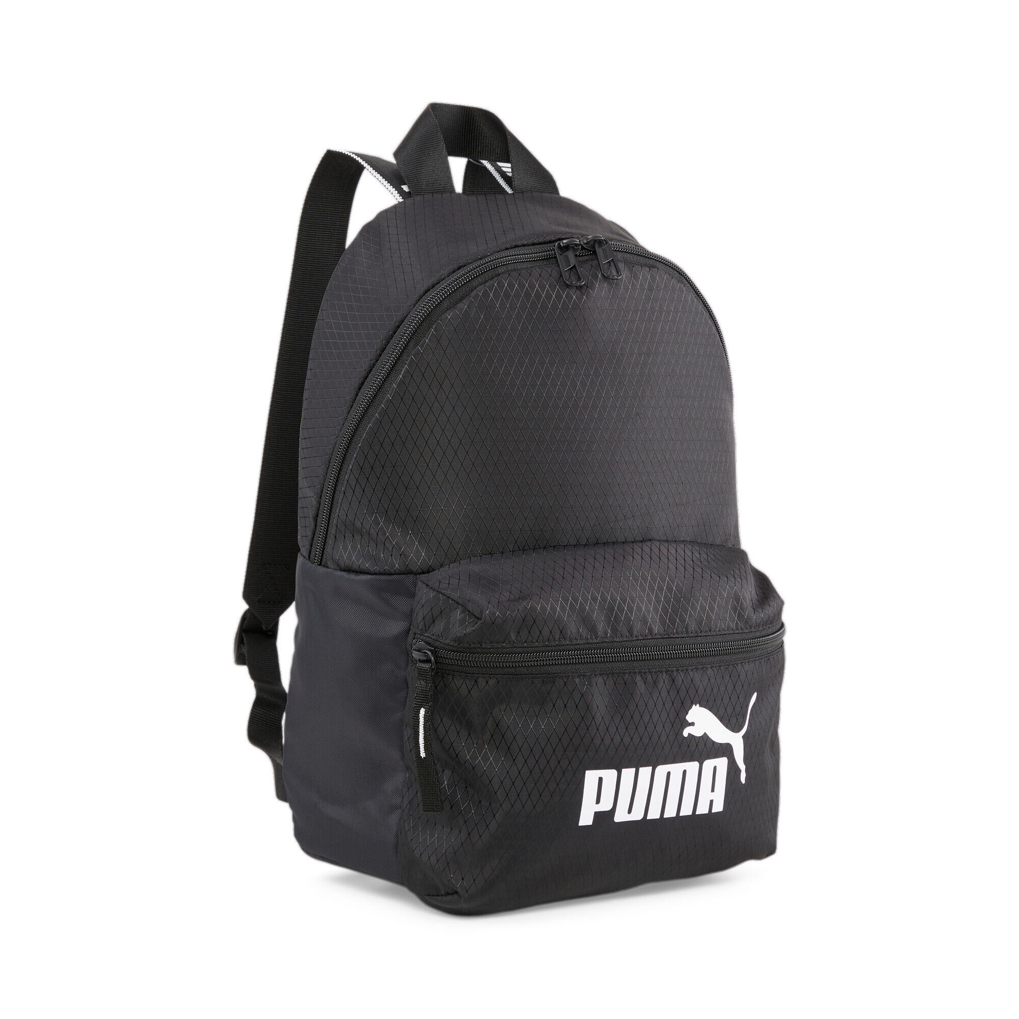 PUMA picture