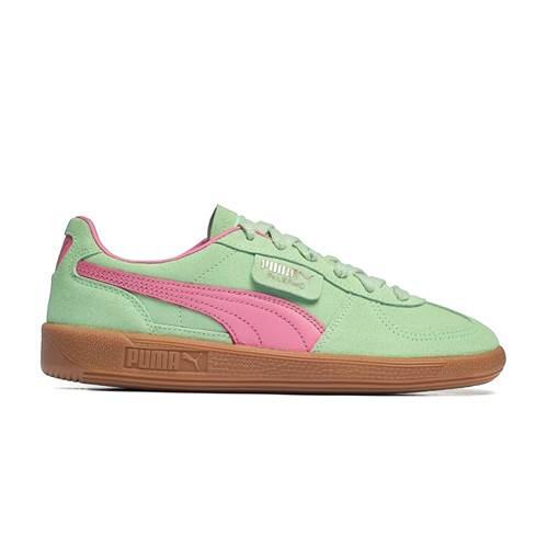 PUMA picture