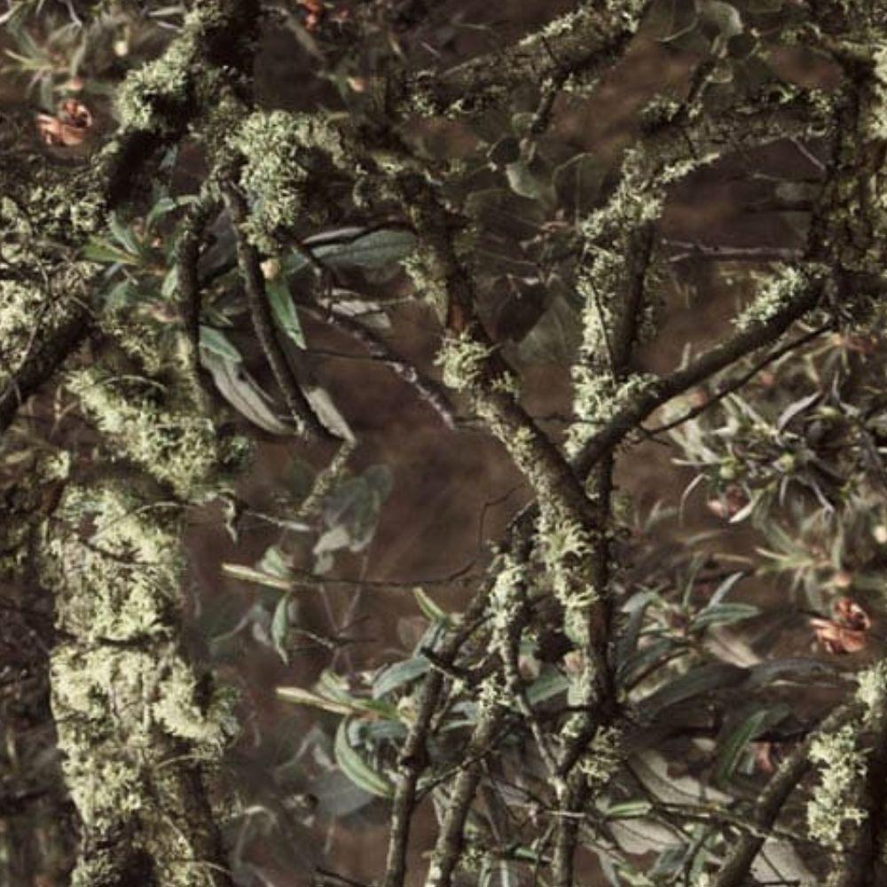 Manta Caza Pasión Morena 36002 Verde Camuflaje Polar 1'80 m x 1'25 m 3/3