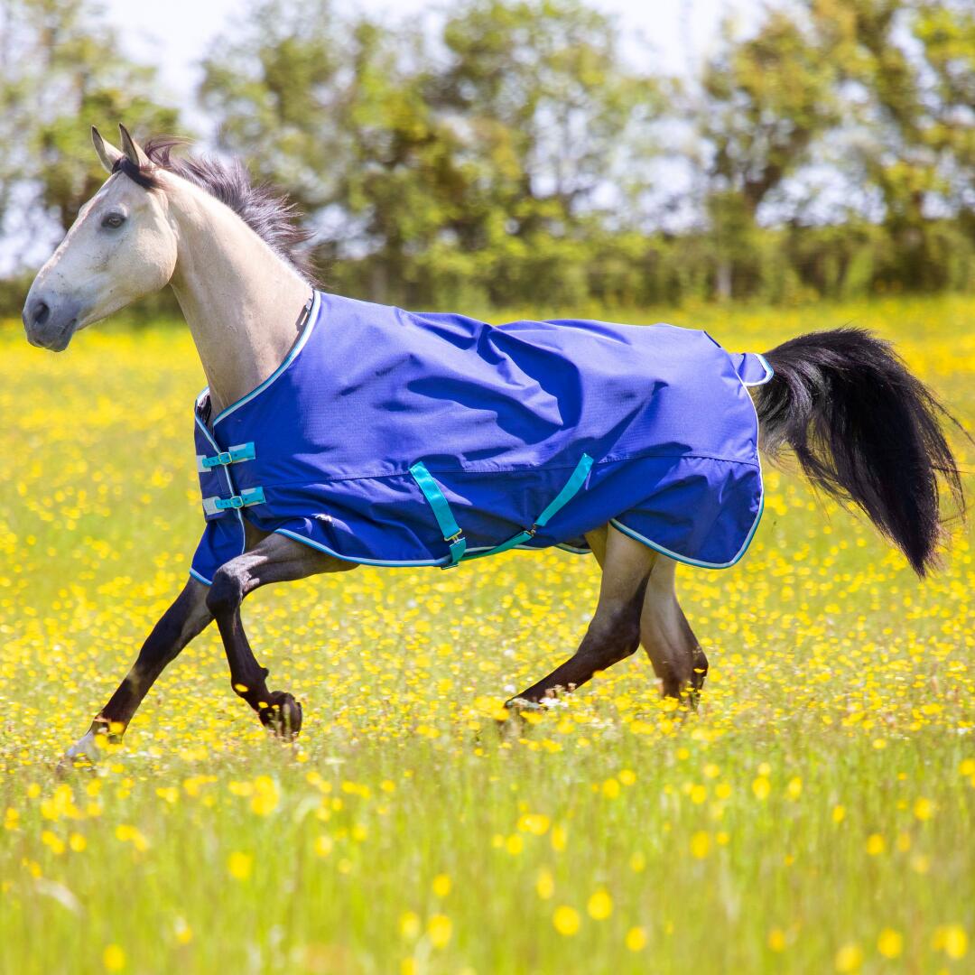 SHIRES Shires Tempest Original 100g Turnout Rug