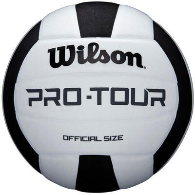 Volleybal pro tour volleyball