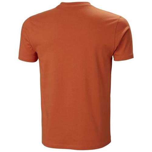 Magliette universali uomo Helly Hansen 53285179 2/5