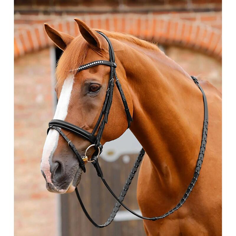 Reittrensen mit Strass-Stirnband Premier Equine Bellissima