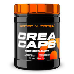 Créatine monohydrate - Creatine Caps - 250 Gélules
