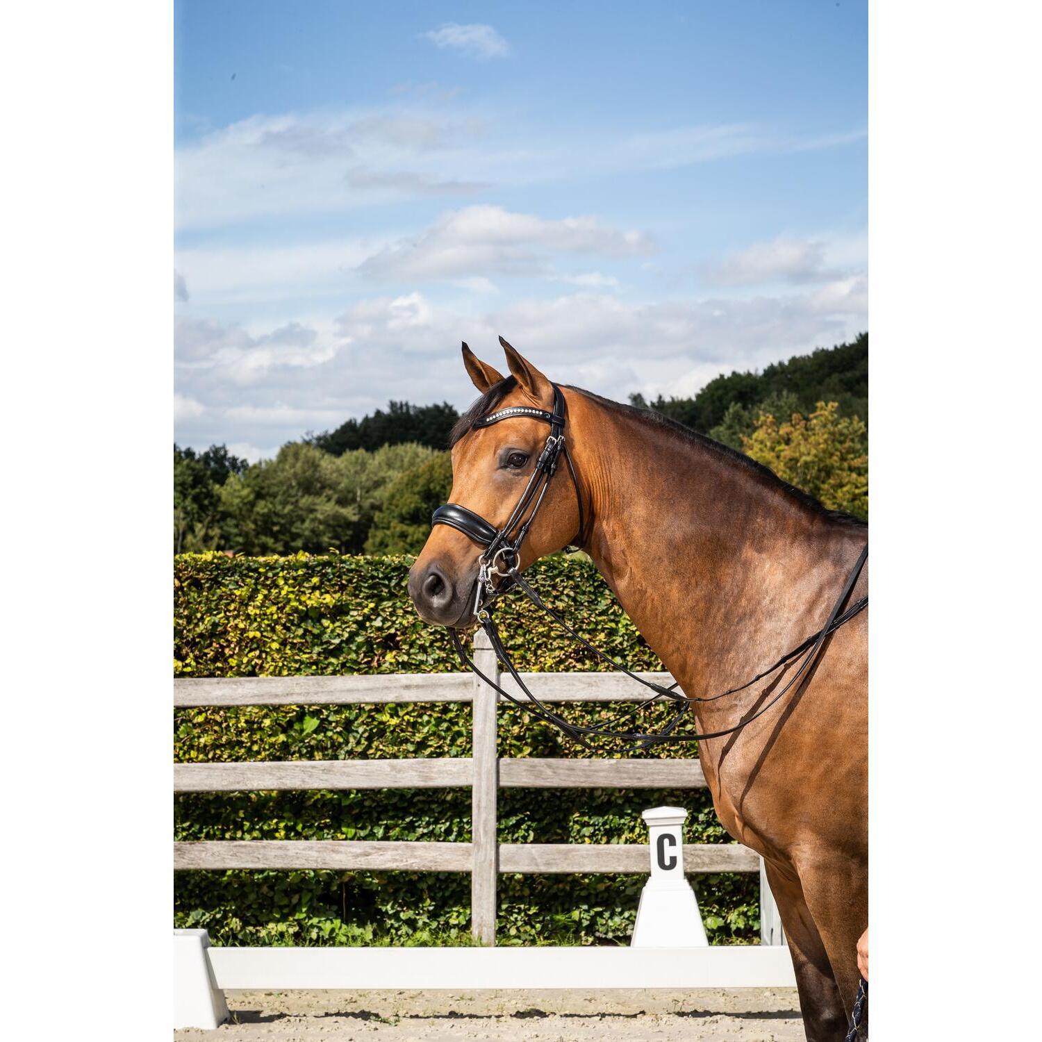 Dy'on large mat noseband bridle